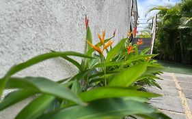 Seasons Break Apartment Pereybere