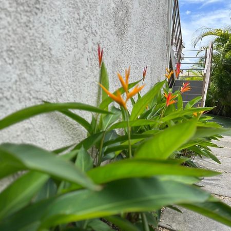 Seasons Break Apartment Pereybere Pereybere Beach Extérieur photo